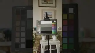 How to use a Color Checker for video 