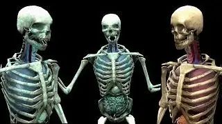 Mortal Kombat Komplete Mods Skeleton Fatalities On Skully The Skeleton