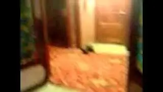 Паранормальное явление 2