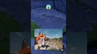 Huge Fox😱on Google Earth 