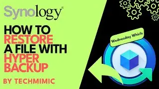 How to RESTORE a file with Synology HYPER BACKUP (Step-by-Step)