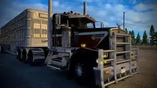 I Cant Believe I Did That 🤦🏼‍♂️ Cattle Haul In Faithful.