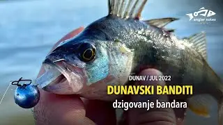 Bandar - Dunavski Banditi / Danube Perch Fishing