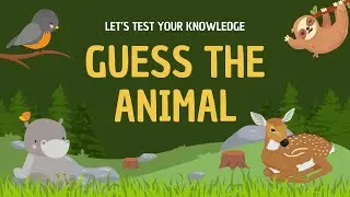 Guess the animal ? 🤔 let’s test your knowledge 🧐