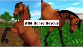 Wild Horse Rescue! || Star Stable Realistic Roleplay || Haley KittenHope
