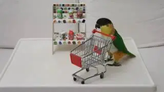 Умный попугай наполняет порзину