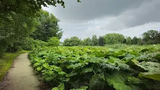 Tervuren Park (nature and relaxation)