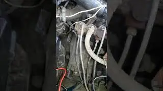 Электрика выносит мозг!!!!!