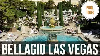 Bellagio Pool Walkthrough Las Vegas