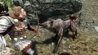 Elder Scrolls V Skyrim Patrician ENB + immersive mod's + 2к textures
