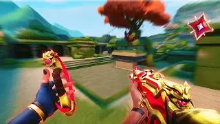 Top 0.1% Headshot Player With Master Calm Aim