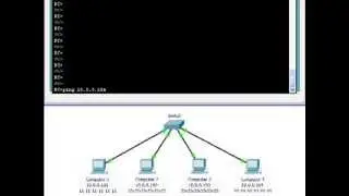 Cisco Switches:  Basics of Switching