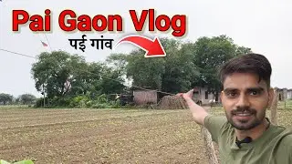 Pai Gaon | Chitrahat | Jaitpura Kalan | Bah | Agra | UP | Rahul Bhadawar | #Vlog #Pai #पई ##Bah 