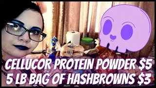 GROCERY HAUL - CELLUCOR PROTEIN POWDER $5 [KROGER / BIG LOTS / ALDI / MEIJER]