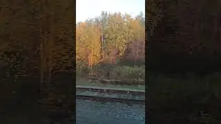 Под стук колёс, золотая осень.