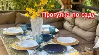 Прогулка по саду. Дизайн беседки. Вся правда о моем газоне.
