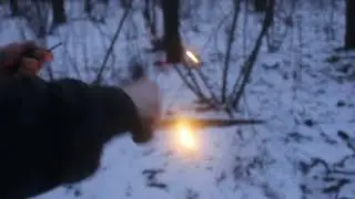 Егор в Щепкинском лесу. Кол для вампиров, следы кабанчиков, не нашли идолов