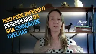 Isso pode impedir o desempenho da sua criação de ovelhas| CARLA D'ANCORA DIAS