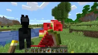 Villagers and Pillagers?! minecraft lets play pt 2