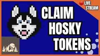 Full Walkthrough: Claim $HOSKY Tokens | Cardano Q&A Live Stream!