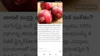 apple fruit sticker code #Shorts #Short #Viral #TeluguAUTOnews #Telugu #reels