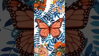 Butterflies 