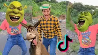 PAPÁ ENOJO a SHREK 😱 Los VIDEOS más EDUCATIVOS del MUNDO 🐧