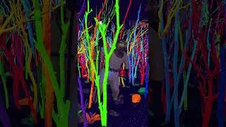Meow Wolf Santa Fe! Fantastic realms