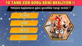 KENDİNLE YARIŞ !! 12 Soruluk Bilgi Yarışması