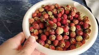 🛍️ 🍓🫐 🍇🍒Закупка в магазине #Победа #Ашан