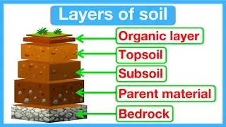 Layers of soil | Structure of the soil | Educational Science Lesson