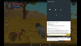 Стрим папытка номер 3