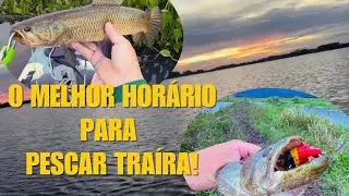 MELHOR ISCA PARA TRAÍRAS na SUPERFÍCIE logo no amanhecer! #traira #frog #iscaartificial 