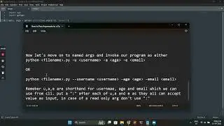 Python CLI Arguments and flags
