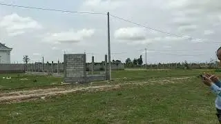 Nrhiav ib lub qua tsev Yaj kom Zoo