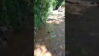 (part 20) LAST PART Ang Pag-uwi Galing Parasapas Falls Pinsal 2 Nakarating na sa bahay