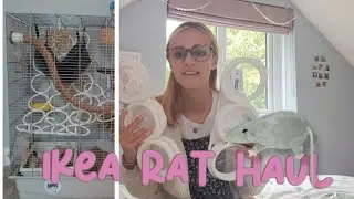 ANOTHER rat haul.... we are getting close to the end now