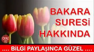 Bakara Suresi Hakkinda