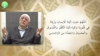 Heartfelt Prayers & Duas (22) | Imam Fethullah Gülen