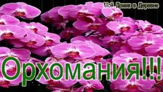 #1  Один день из жизни орхомана!