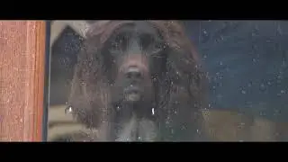 Rainy Days