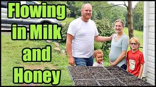 Flowing in Milk and Honey | Update