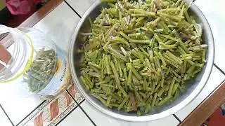 Doğal Kaldırık Otu Turşusu