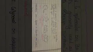 The skraup synthesis of quinoline with mechanism (synthesis of quinoline part-1)