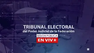 Sesión Pública por videoconferencia - Lunes 4 noviembre 2024 - TEPJF