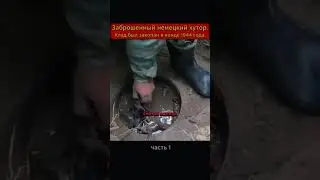 заброшенный немецкий хутор.