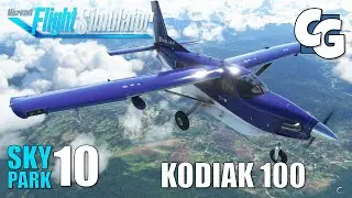 What's so special about the Kodiak 100? - Skypark - Ep. 10 - MSFS