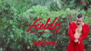 Gabriel Garzón-Montano - Fields (Official Audio) // Agüita LP