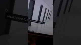 TryHackMe free room CTF corridor
