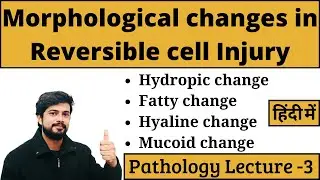 Morphological Changes in Reversible Cell Injury | Pathology Lecture in Hindi | Nursing | MLT | GNM